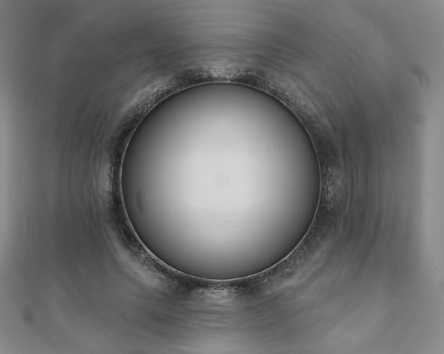 X0000110860639200906181142