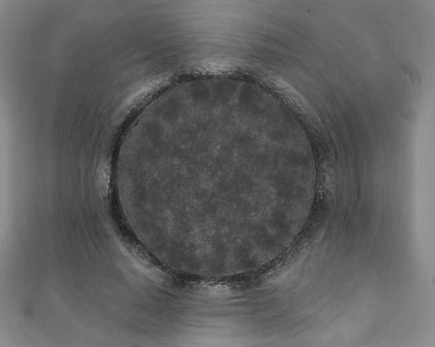 X0000110860640200906181142