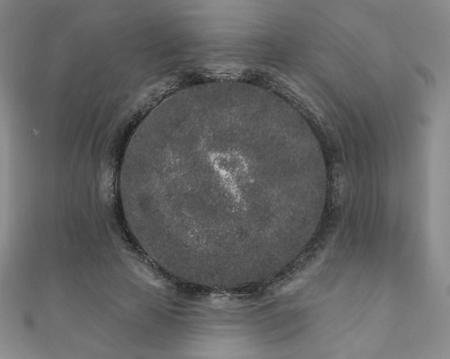 X0000110860641200906181142