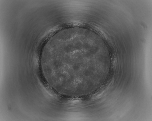 X0000110860643200906181142