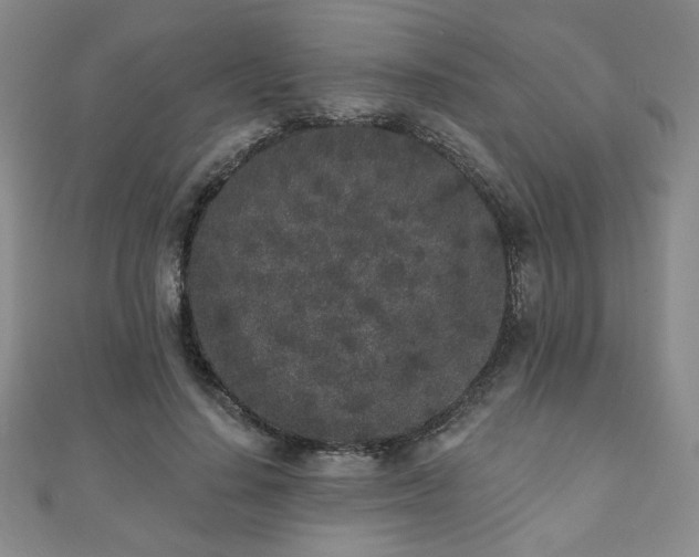 X0000110860644200906181142
