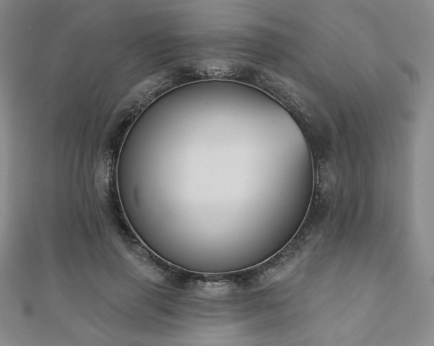 X0000110860645200906181142