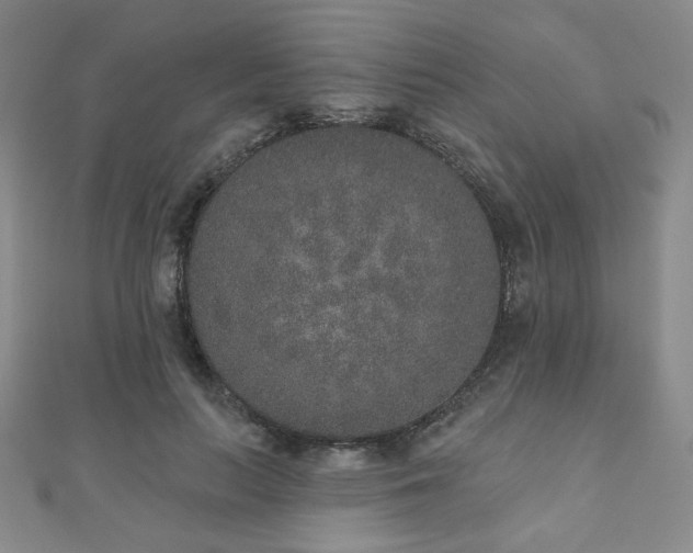 X0000110860647200906181142