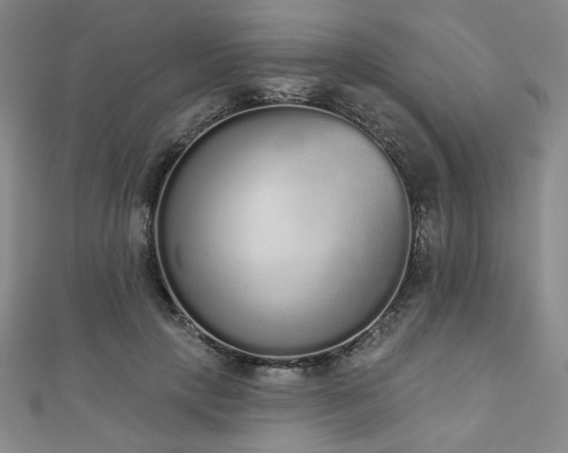 X0000110860649200906181142