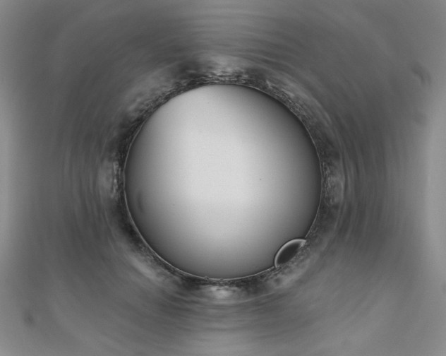 X0000110860654200906181142