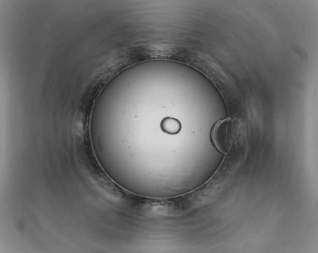 X0000110860655200906181142