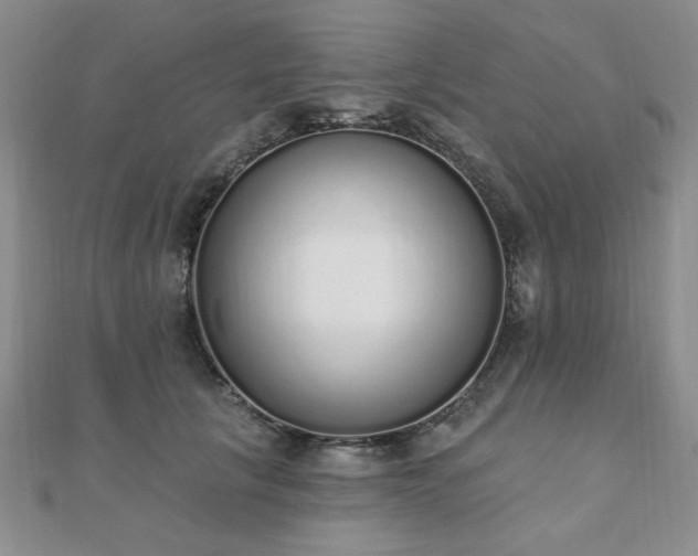 X0000110860657200906181142