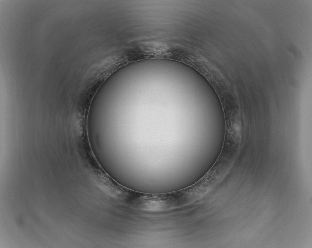 X0000110860658200906181142