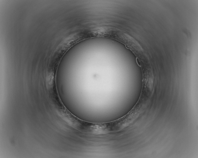X0000110860660200906181142