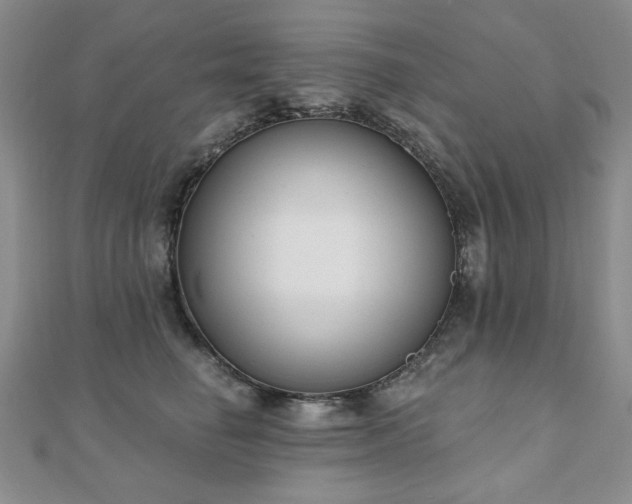 X0000110860662200906181142
