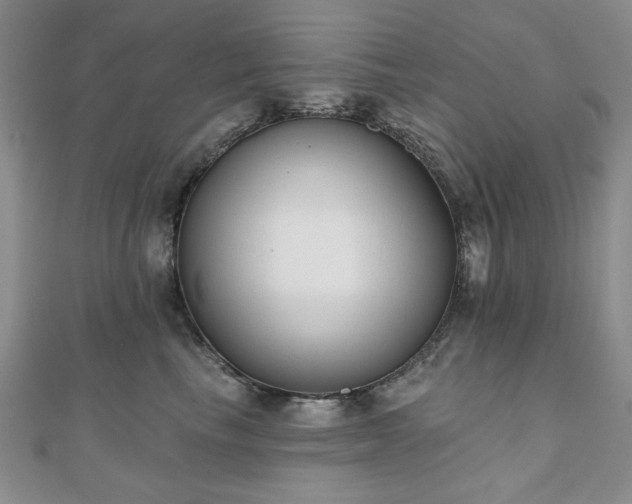 X0000110860665200906181142