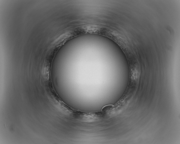 X0000110860666200906181142