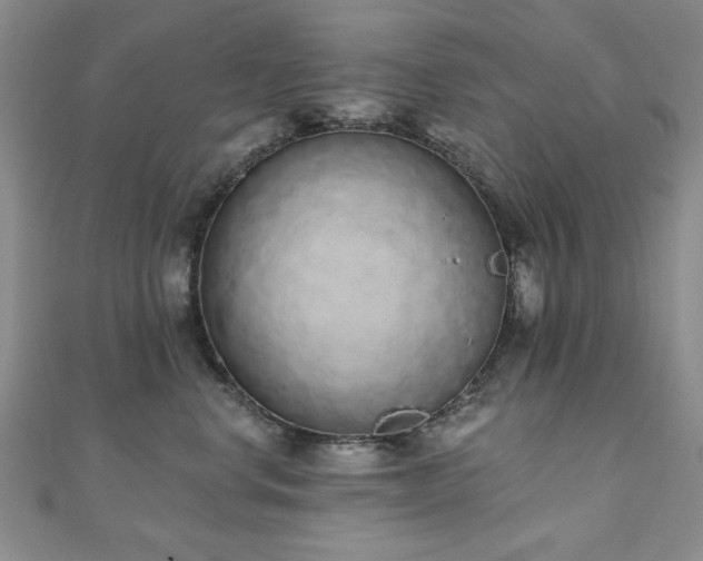 X0000110860668200906181142