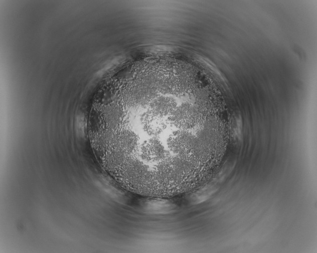 X0000110860669200906181142