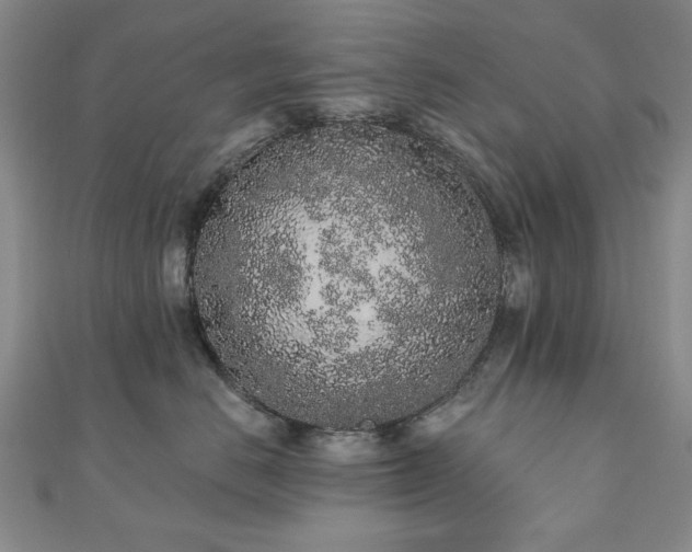 X0000110860670200906181142