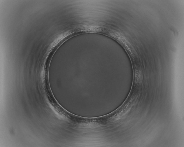 X0000110860674200906181142