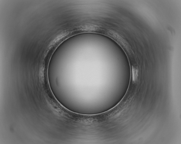X0000110860675200906181142