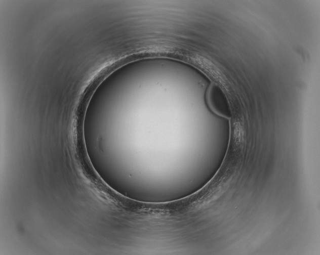 X0000110860676200906181142