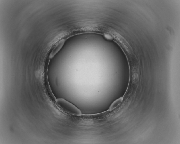 X0000110860677200906181142