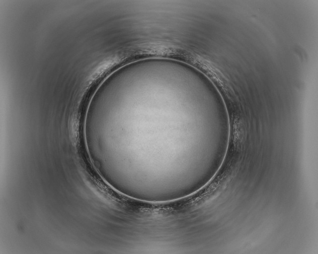 X0000110860679200906181142