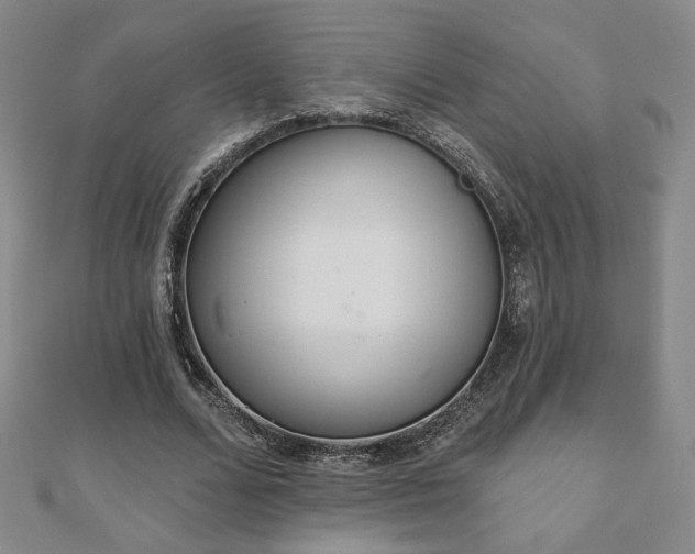 X0000110860680200906181142