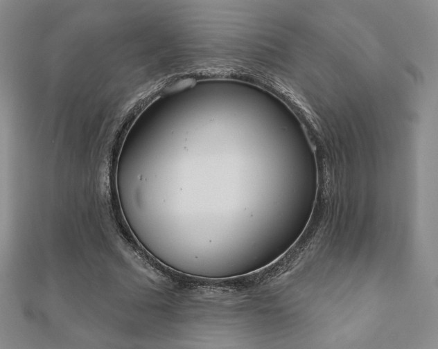 X0000110860681200906181142