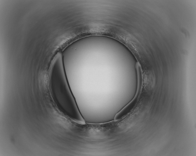 X0000110860684200906181142