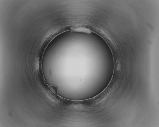 X0000110860685200906181142