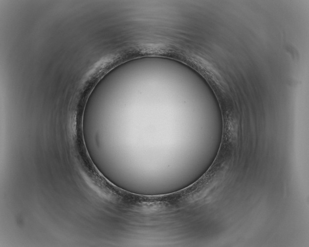 X0000110860686200906181142