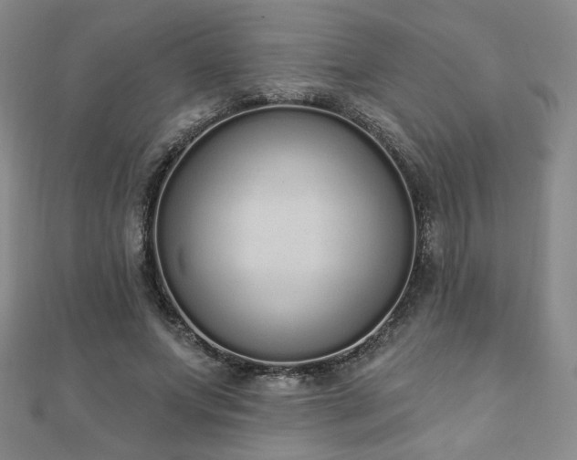 X0000110860687200906181142