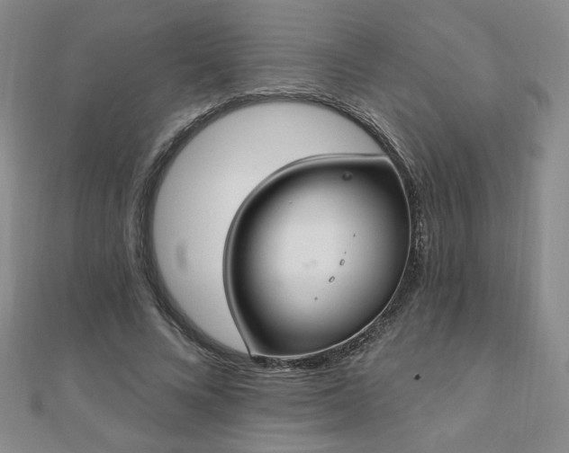 X0000110860688200906181142
