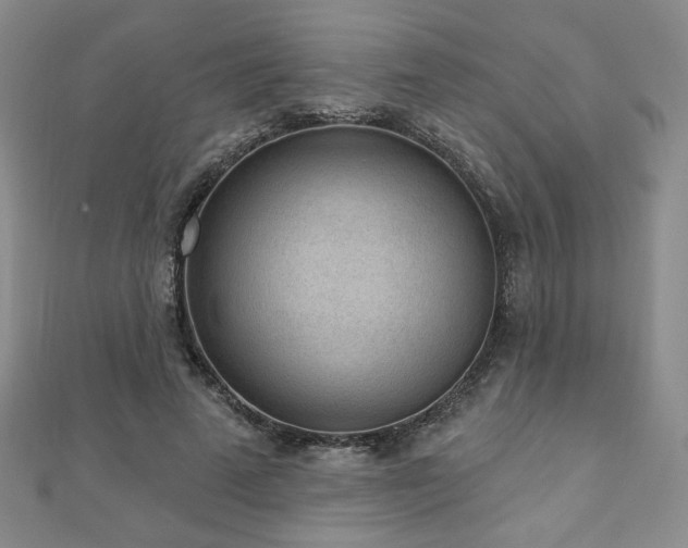 X0000110860689200906181141