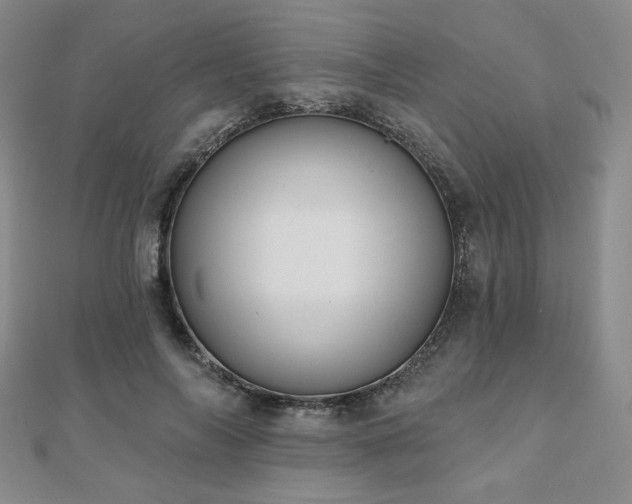 X0000110860694200906181141