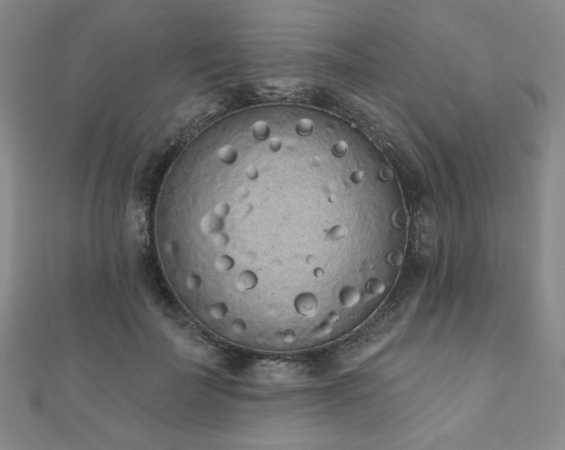X0000110860699200906181141