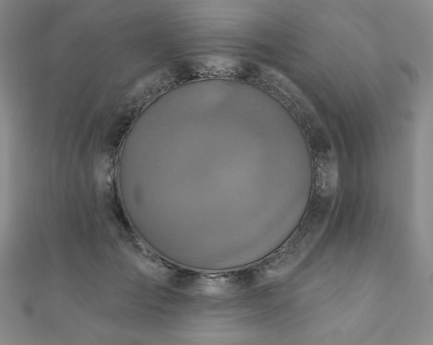 X0000110860701200906181141