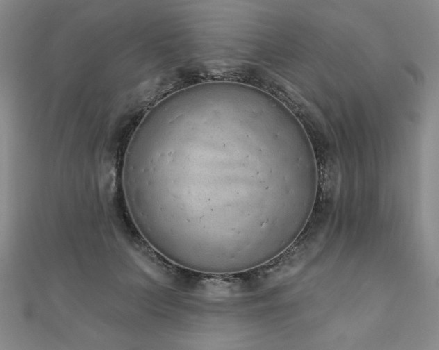 X0000110860703200906181141