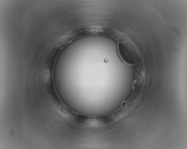 X0000110860704200906181141