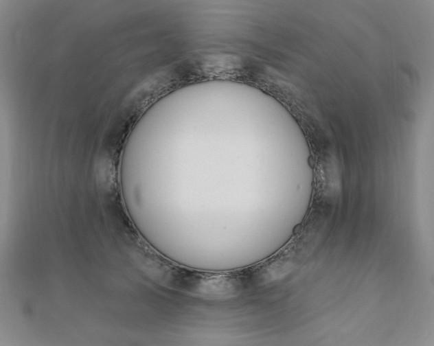 X0000110860705200906181141