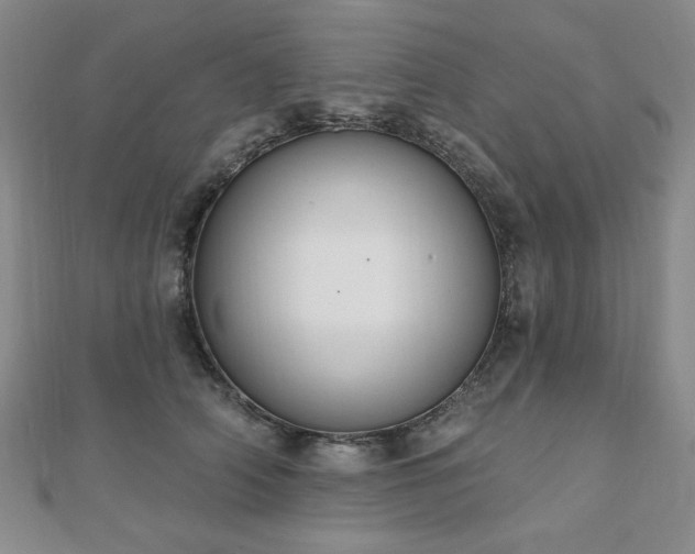 X0000110860706200906181141