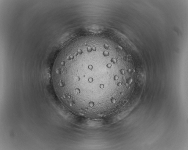 X0000110860707200906181141