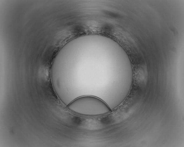 X0000110860709200906181141