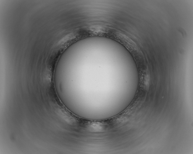 X0000110860710200906181141