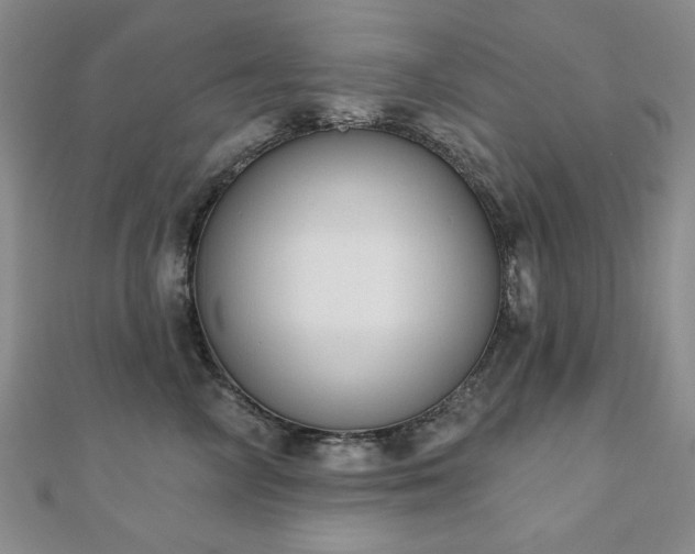 X0000110860714200906181141