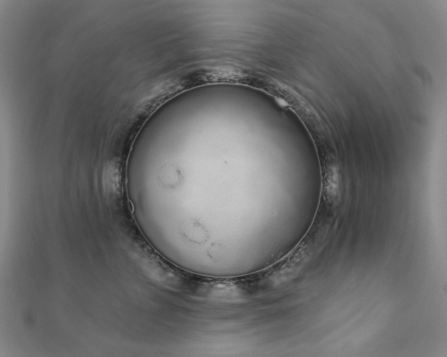 X0000110860715200906181141