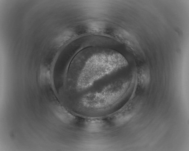 X0000110860716200906181141