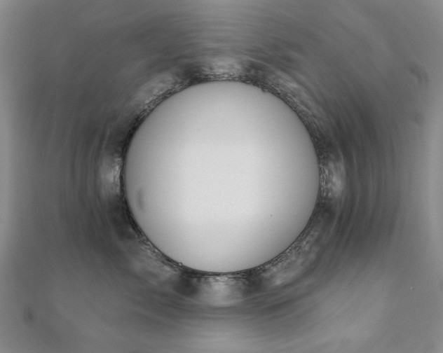 X0000110860717200906181141
