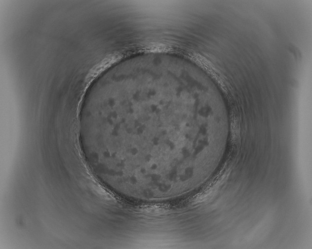 X0000110860721200906181140