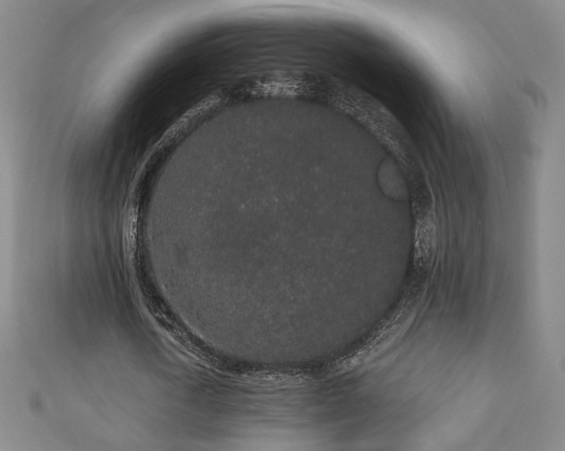X0000110860722200906181140