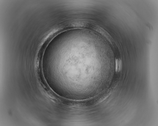 X0000110860723200906181141