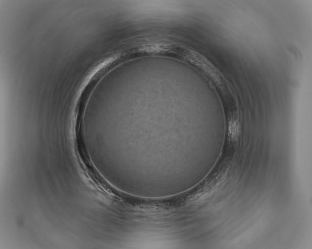 X0000110860724200906181141